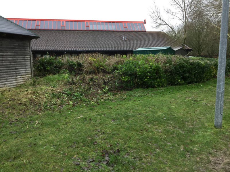 Hatch Warren School Garden